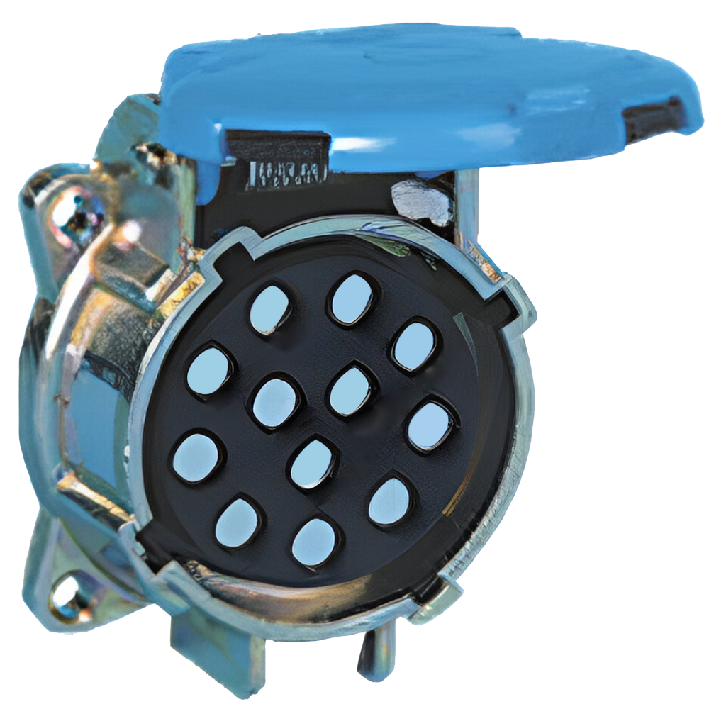 Plugs & Sockets(2499/12)