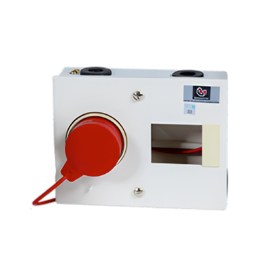 Plugs & Sockets(MPSEU301)