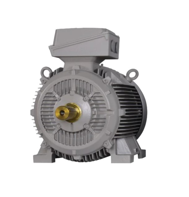 Innomotics - Cast Iron Motors - 7.5 kW, 10 HP, Frame 132M, Foot - 1LE7501-1CB23-5AA4