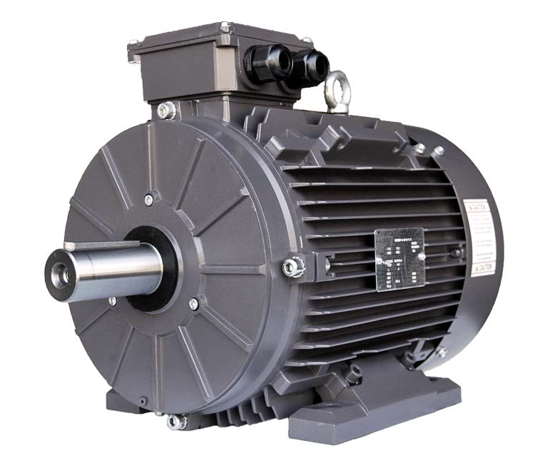 Innomotics - Flame Proof Motors - 75 kW, 100 HP, Frame 280S - 1MB7563-2DA03-5AA4