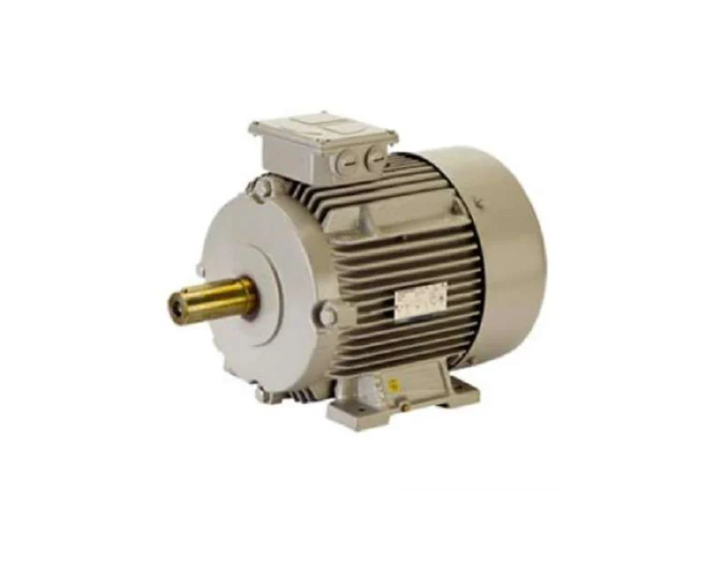 Innomotics - Flame Proof Motors - 45 kW, 60 HP, Frame 225M - 1MB7563-2BB23-5AA4