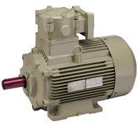 Innomotics - Flame Proof Motors - 0.75 kW, 1 HP, Frame 280M - 1MB7563-0EC02-3AA4