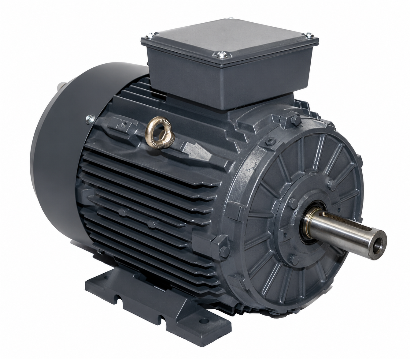 Innomotics - Cast Iron Motors - 250 kW, 335 HP, Frame 315L - 1LE7501-3AB79-0AA4 M1Y^