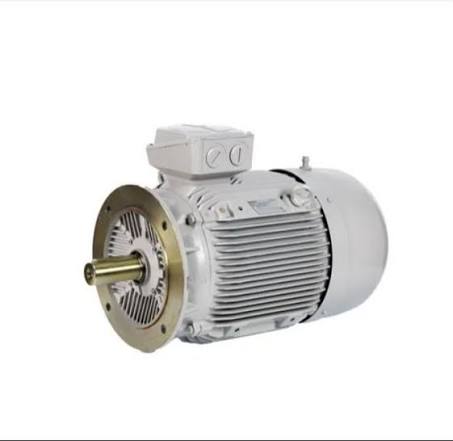 Innomotics - Cast Iron Motors - 3.7 kW, 5 HP, Frame 100L - 1LE7503-1AA53-5AA4