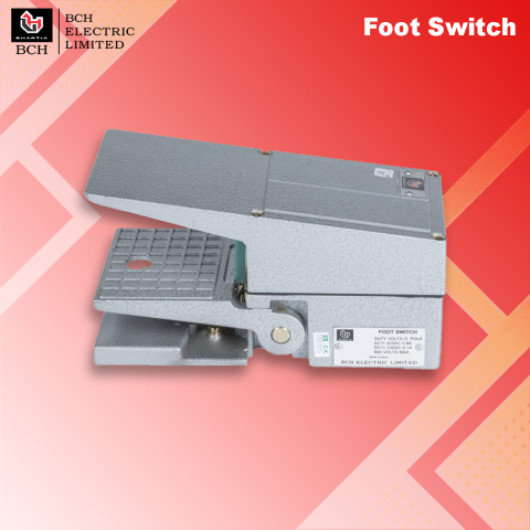 BCH : Number of Contact Blocks-One, 2NO+2NC, 2, With Guard Foot Switch - FSGX2